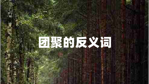 團(tuán)聚的反義詞
