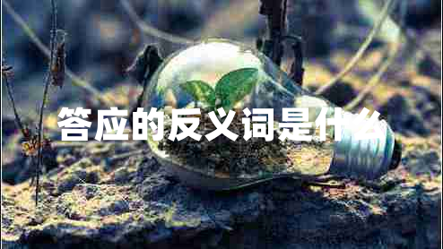 答應(yīng)的反義詞是什么