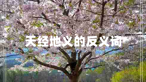 天經地義的反義詞