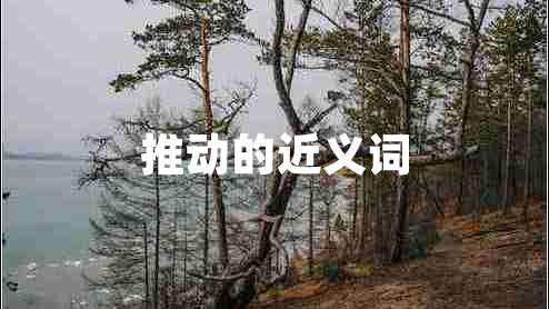 推動的近義詞