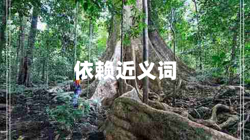 依賴(lài)近義詞