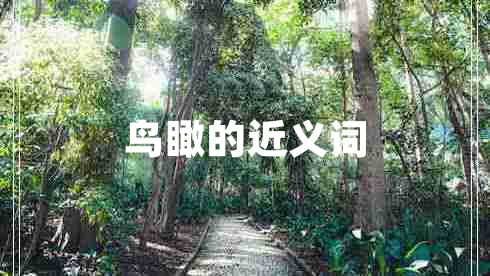 鳥(niǎo)瞰的近義詞