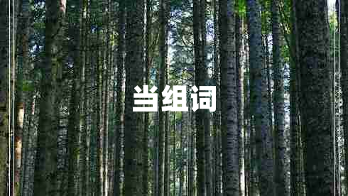 當組詞