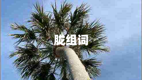 朧組詞