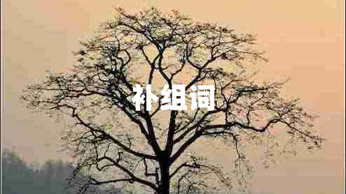 補組詞