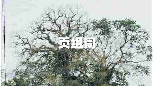 頁(yè)組詞