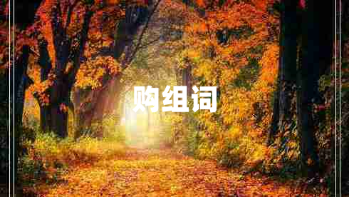 購(gòu)組詞