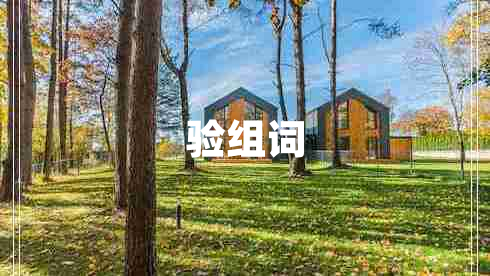 驗(yàn)組詞
