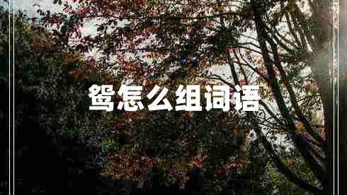 鴛怎么組詞語(yǔ)