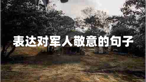 表達(dá)對軍人敬意的句子
