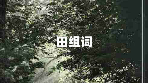 田組詞