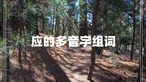 應的多音字組詞