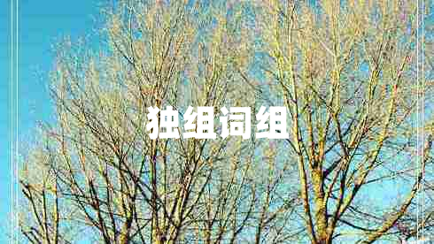 獨(dú)組詞組