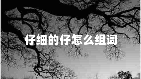 仔細(xì)的仔怎么組詞