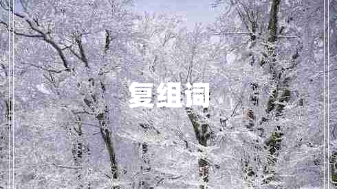 復(fù)組詞
