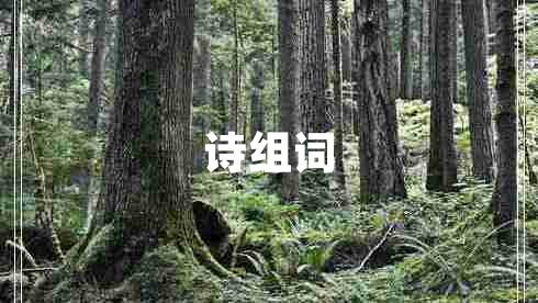 詩組詞