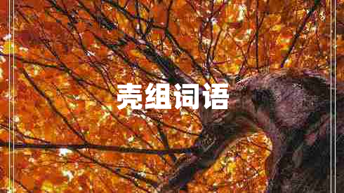 殼組詞語