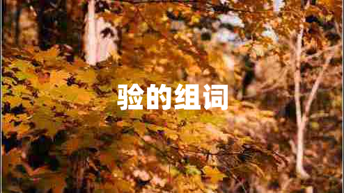 驗(yàn)的組詞