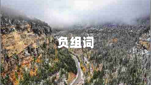 負(fù)組詞