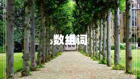 數(shù)組詞