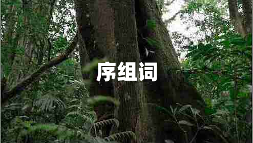 序組詞