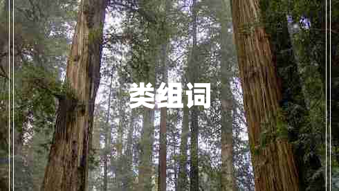 類組詞