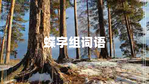 蝶字組詞語