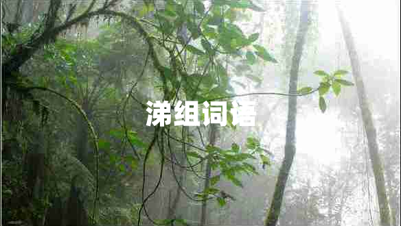 涕組詞語