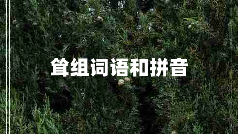 聳組詞語和拼音