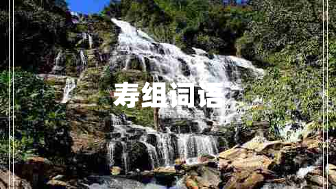 壽組詞語