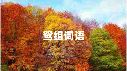 鴛組詞語