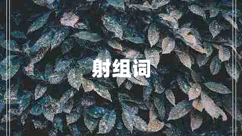 射組詞