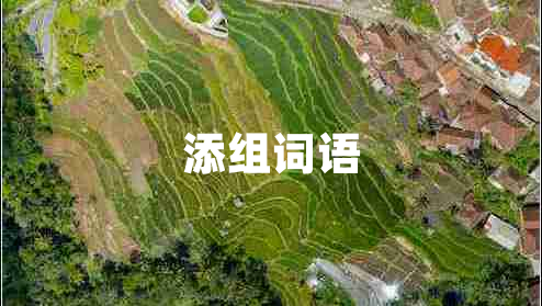 添組詞語