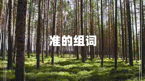 準(zhǔn)的組詞
