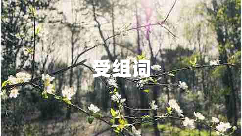 受組詞