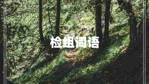 檢組詞語
