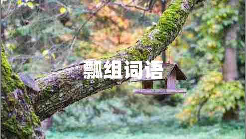 瓢組詞語