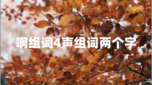 啊組詞4聲組詞兩個字