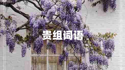 貴組詞語