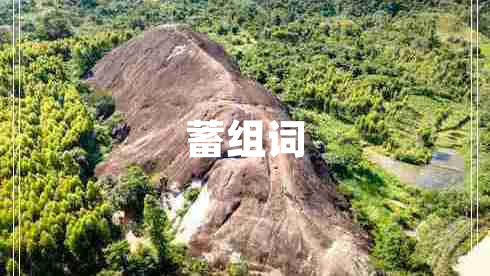 蓄組詞
