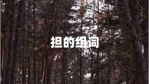 擔(dān)的組詞