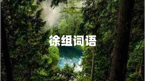 徐組詞語