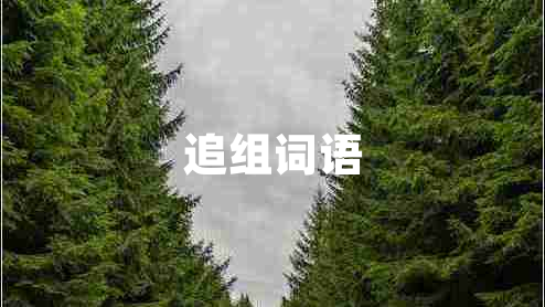 追組詞語