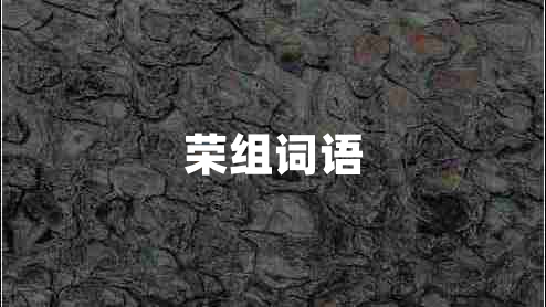 榮組詞語
