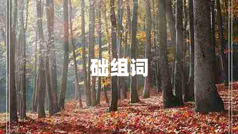 礎(chǔ)組詞