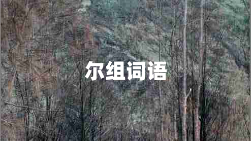 爾組詞語