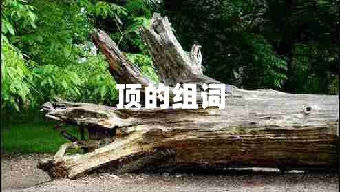 頂?shù)慕M詞