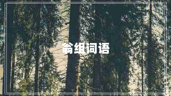 翁組詞語