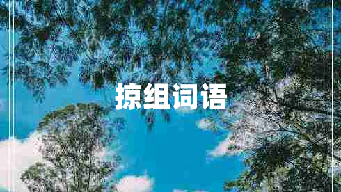 掠組詞語