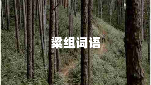 粱組詞語